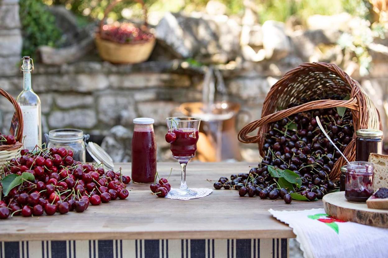 Agriturismo Terra E Sapori Campodipietra Buitenkant foto