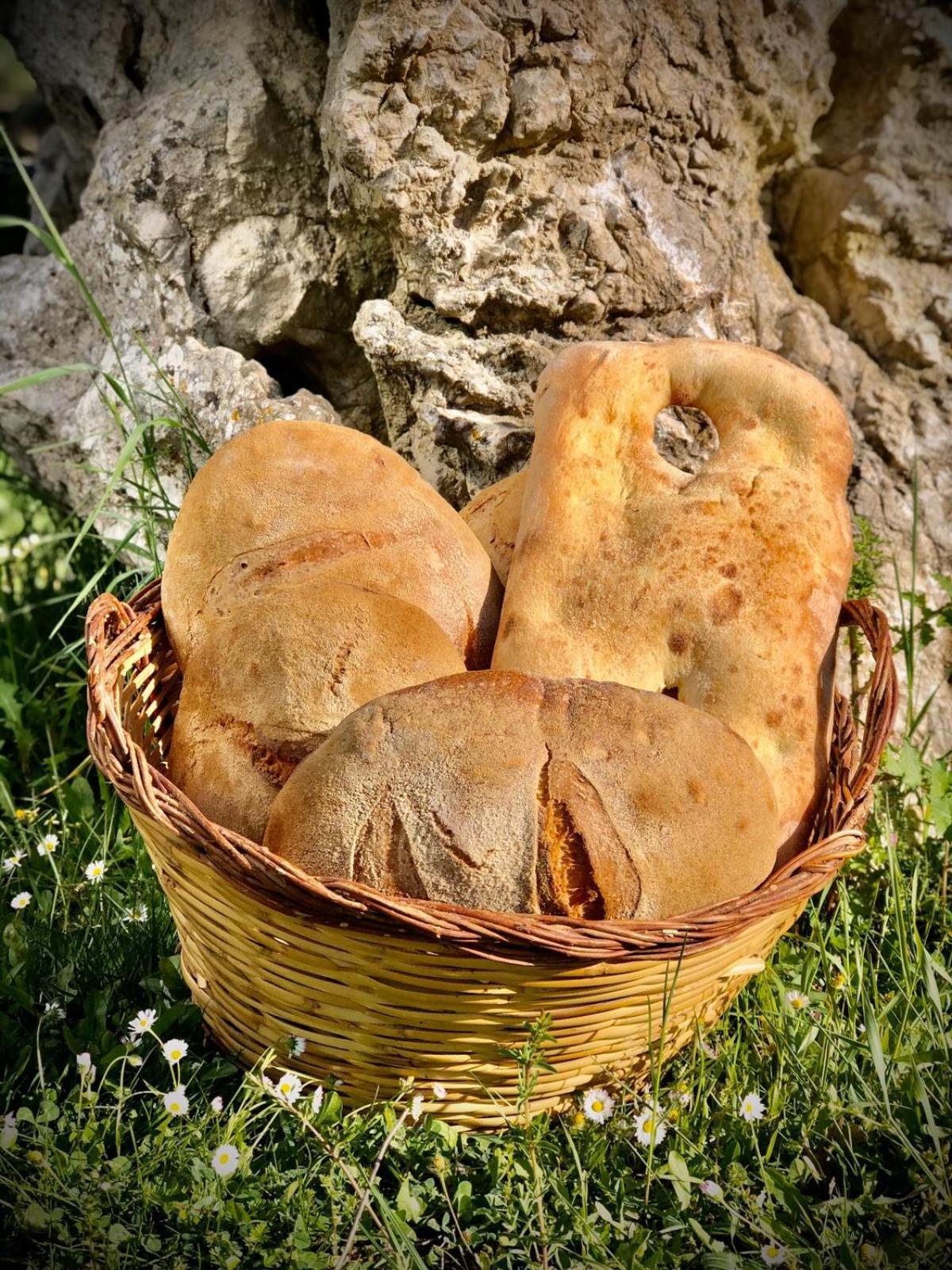 Agriturismo Terra E Sapori Campodipietra Buitenkant foto